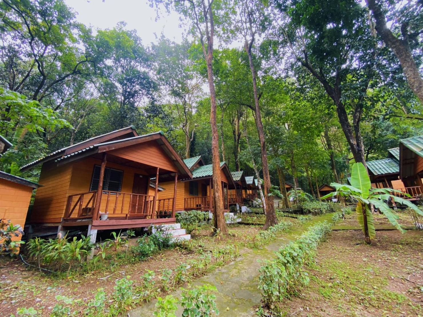 Dream Valley Resort, หาดต้นไทร ภายนอก รูปภาพ